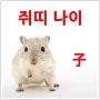 쥐띠 나이 알아보기_2017년 쥐띠나이