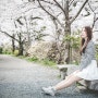 [교토 철학의길]벚꽃이 만개한 4월의 교토 철학의 길