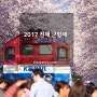 [봄, 벚꽃 그리고 진해] 사진으로 다시보는 2017 군항제