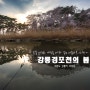 경포천의 봄, 강릉 경포대 경포천, 강릉습지유수지