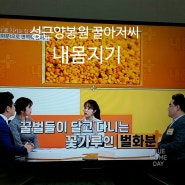 성근양봉원 꿀아저씨 내몸지기 되어 화분 면역력 TV조선 내몸플러스 방영하다