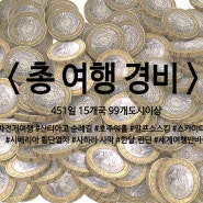 <1차 세계여행 > 총 여행 경비 : 얼마를 쓰고,벌고, 또 썼을까?