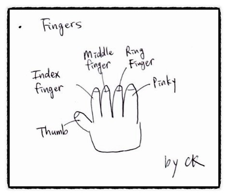 [미네소타 1분 생활 영어] Fingers (손가락) : 네이버 블로그