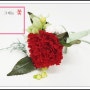 프리저브드 카네이션 코사지 (Preserved Carnation Corsage)