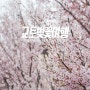 [교토여행] 연분홍 바람 부는 교토의 봄_교토벚꽃여행 2017