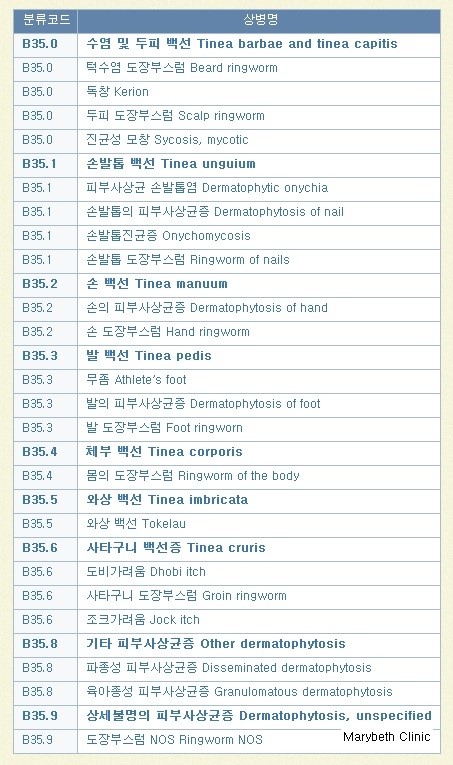 한국에 흔한 피부질환 [개정판] - 제12장. 백선증(白癬症, Dermatophytosis) - 요약 : 네이버 블로그