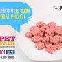 2017 부산 펫케어페스티벌에 왕짱이 4월 29일(토) - 30일(일) 참가합니다! / 부산 BEXCO 2전시장