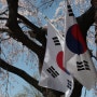 서울 국립현충원 벚꽃축제 산책하기 좋은 곳 늦은 후기