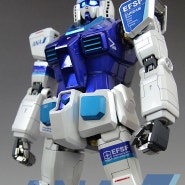 [PG]RX-78-2 GUNDAM (Ver ANA SKY PROJECT Titanium Finish)