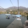 서울대공원 동물원 리프트, 코끼리열차 마지막 벚꽃 봄소풍