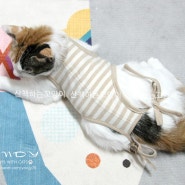 오가닉 고양이 중성화복,강아지 중성화복