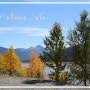 [캐나다 로키 여행] 메디신 호수 (Medicine Lake) : 멀린호수로 오가는 길에 만나는 마법의 호수