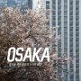[오사카여행] 당신을 위한 봄날의 오사카 2017 OSAKA