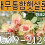 채무통합햇살론 뱅크24가 제격입니다