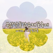 대학팅구들과 보러간 유채꽃이 가득핀 부산 대저 생태공원(가는길 Tip!!)/17.04.21