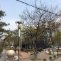 수요일에는 특식!! 신락원진월점 호로록자장면!!