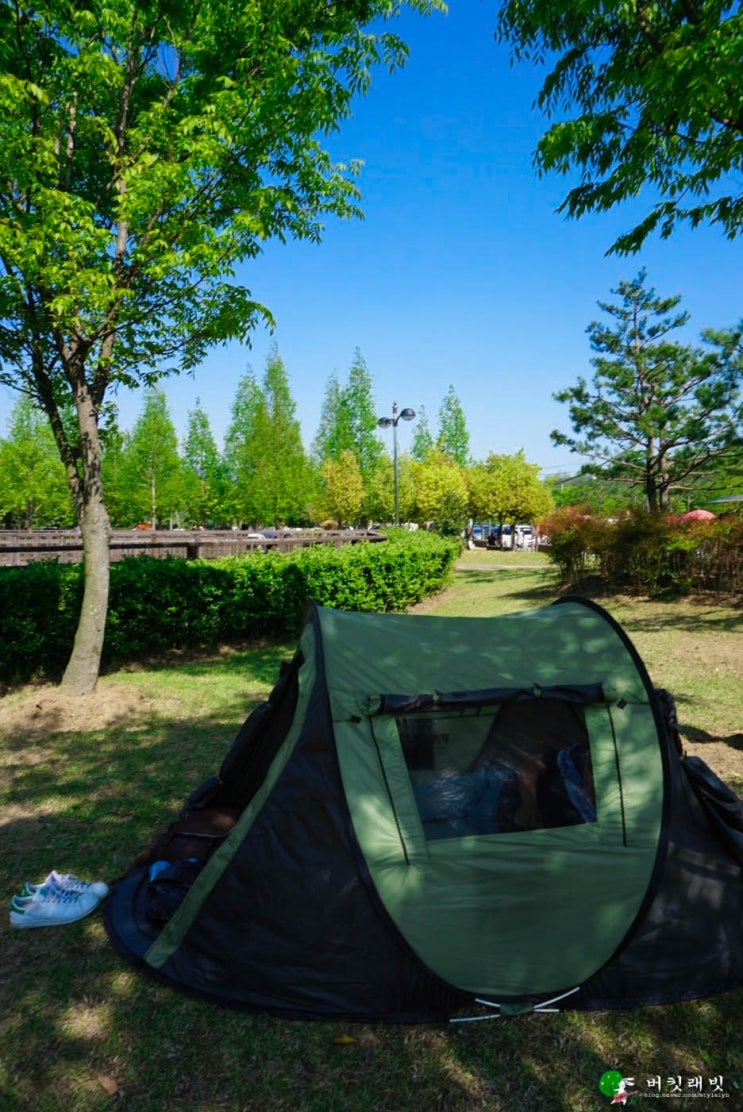 진주 초전공원 봄나들이/주말 피크닉