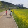 유채꽃핀 산동교 매력남매 자전거타기!