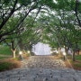 김해 산책하러 가기 좋은 봉황대공원 유적 산책로