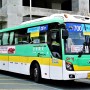 [경북/경주] 새천년미소 | 700번의 상징, 현대 유니버스 럭셔리 CNG 좌석버스