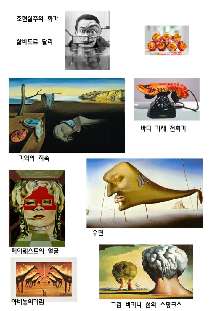 광적도서관<살바도르 달리>