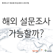 해외 설문조사 진행방법 : 국외 통계 조사