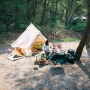 미니와 여울이의 첫 캠핑 - 영월캠프