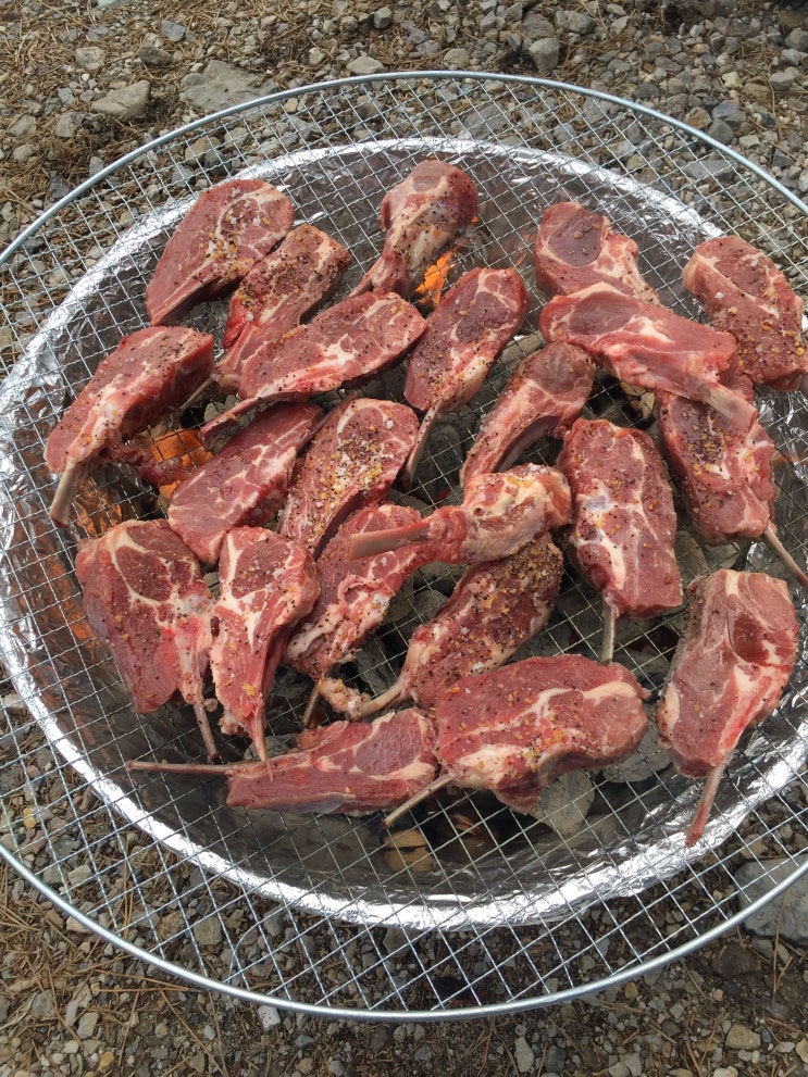 경주 오토캠핑장 추천 - 전촌솔밭해변 송림오토캠핑장에서 바베큐 파티 가족모임 : 네이버 블로그
