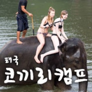 [태국여행]칸차나부리 지역에 왕의 코끼리 캠프(Camp Chang Pho O)