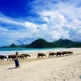[롬복 여행] 인도네시아의 가장 아름다운 해변, 셀롱블라낙 비치(Selong Belanak Beach)매력에 빠지기