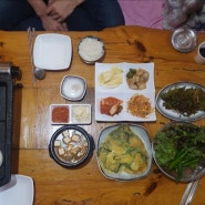 남양주 애견동반식당 개똥치는사람들 방문기!!