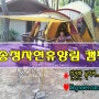 송정자연휴양림 칠곡 캠핑장 이야기