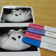 [임신소식/임산부/쌍둥이임신/임신초기]임신일기4주~10주0일