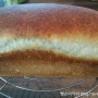 옥수수식빵 (옥수수식빵 만들기, 천연발효빵)