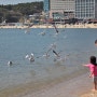 인천 1박2일 여행 - 을왕리 해수욕장 : 인천 가볼만한곳