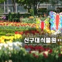 신구대식물원, 봄꽃만발한 신구대식물원의 봄, 신구대식물원 튤립축제, 성남 가볼만한곳~