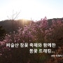 대구 비슬산 참꽃 축제와 함께한 봄꽃트레킹