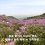 황매산 철쭉축제 in 가족캠핑 & 합천영상테마파크 즐기기