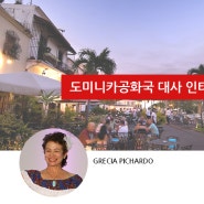 [THE SJF VIDEO] 도미니카공화국 주한여성대사 Grecia Pichardo