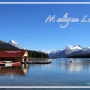 [캐나다 로키 여행] 환상적인 풍경을 만날 수 있는 멀린 호수 (Maligne Lake) & 스피릿 아일랜드 (Spirit Island)