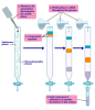 크로마토그래피(Chromatography) 1. 원리, 종류 : 네이버 블로그