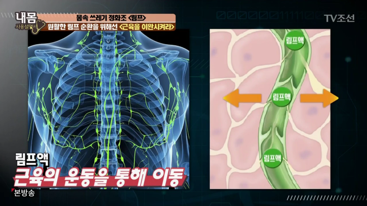 부종으로 보는 림프 자가 진단법 (내몸..) : 네이버 블로그