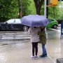 [2017뉴욕여행]메트로폴리탄-비오는날
