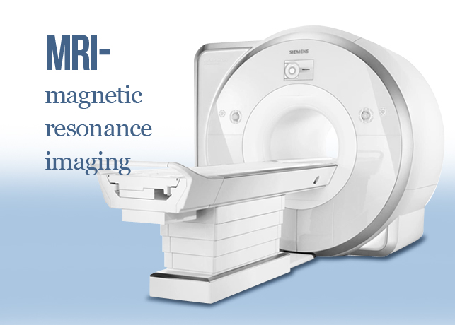 자기공명영상 (magnetic resonance imaging) - MRI : 네이버 블로그