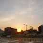 화성 남양뉴타운 택지의 5월 풍경/ 아파트 건설현황
