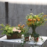 [9월의꽃][망원동꽃집] 과즙미 넘치는 선키스트 꽃다발, 꽃바구니