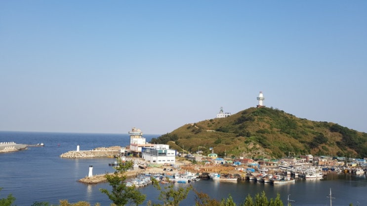 영덕 가볼만한 곳 / 영덕 여행 / 영덕 블루로드 : 네이버 블로그