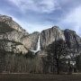 [미국서부 3일째 오전] 요세미티 국립공원(Yosemite National Park) -엘 카피탄, 요세미티폭포, 터널뷰