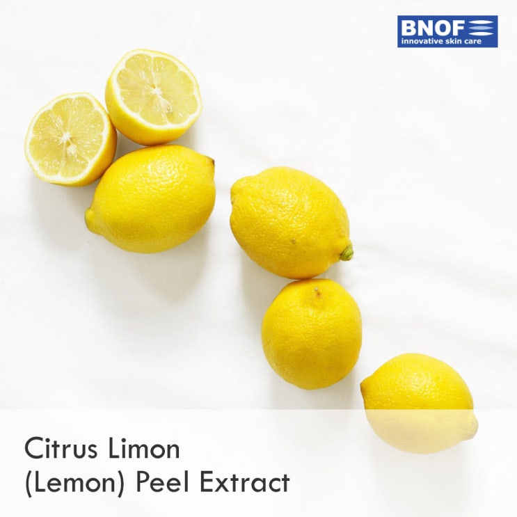 [성분이야기]레몬추출물 네이버 블로그