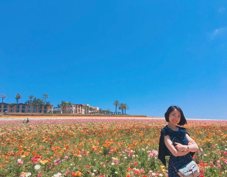 [샌디에고] 칼즈배드(Carlsbad) ; 플라워필드(The Flower Fields) : 네이버 블로그